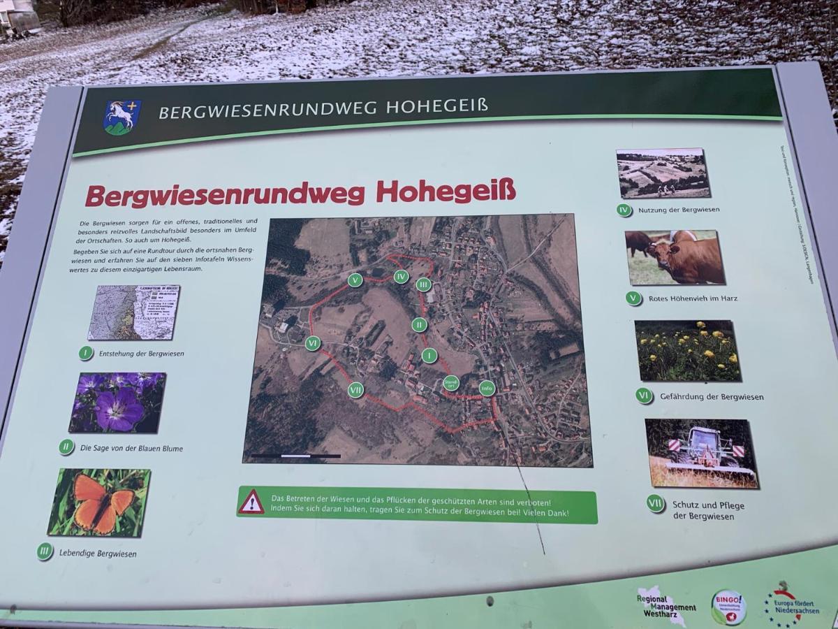 Gemuetliche Ferienwohnung Harz Braunlage Hohegeiss المظهر الخارجي الصورة