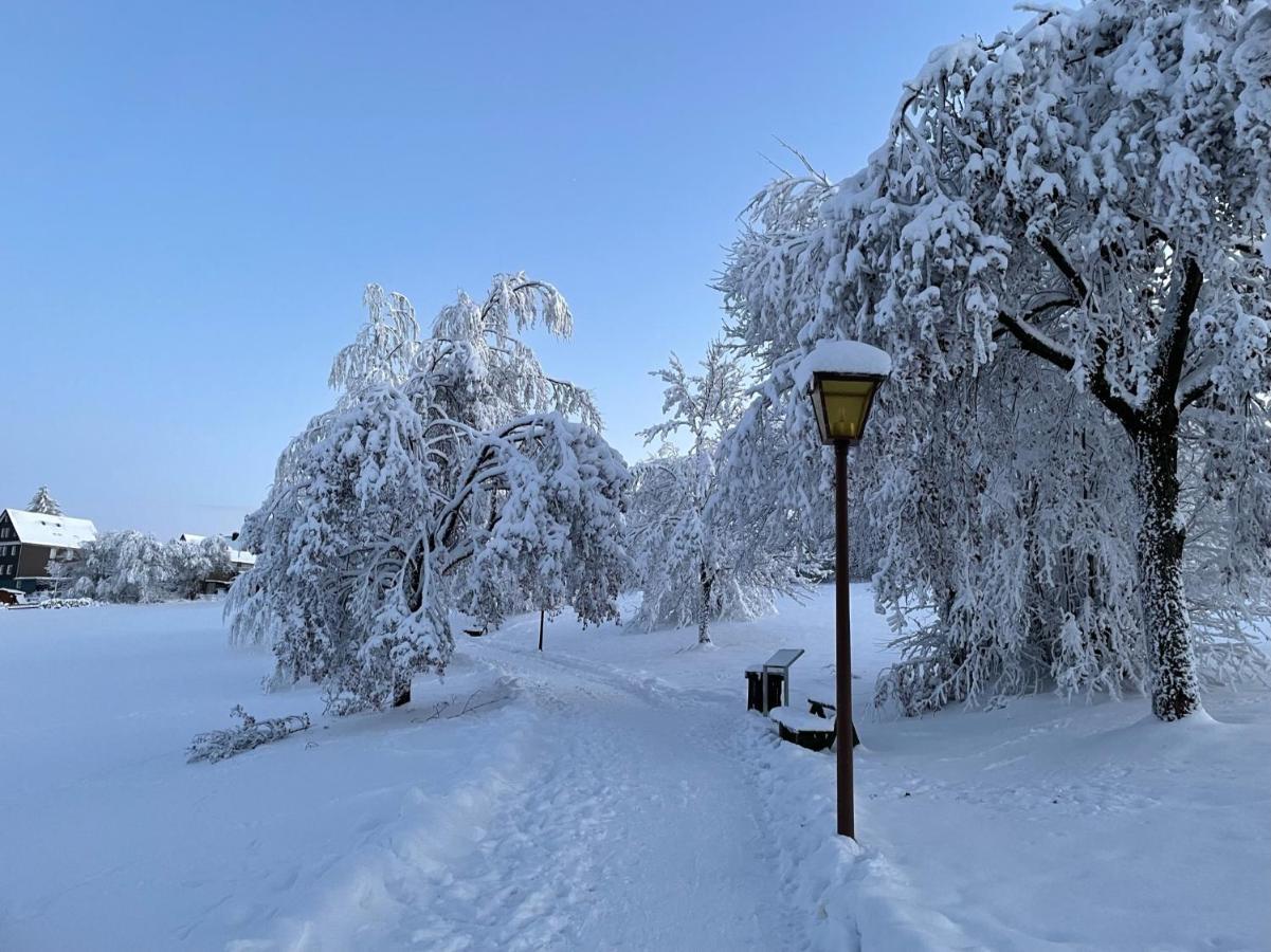 Gemuetliche Ferienwohnung Harz Braunlage Hohegeiss المظهر الخارجي الصورة